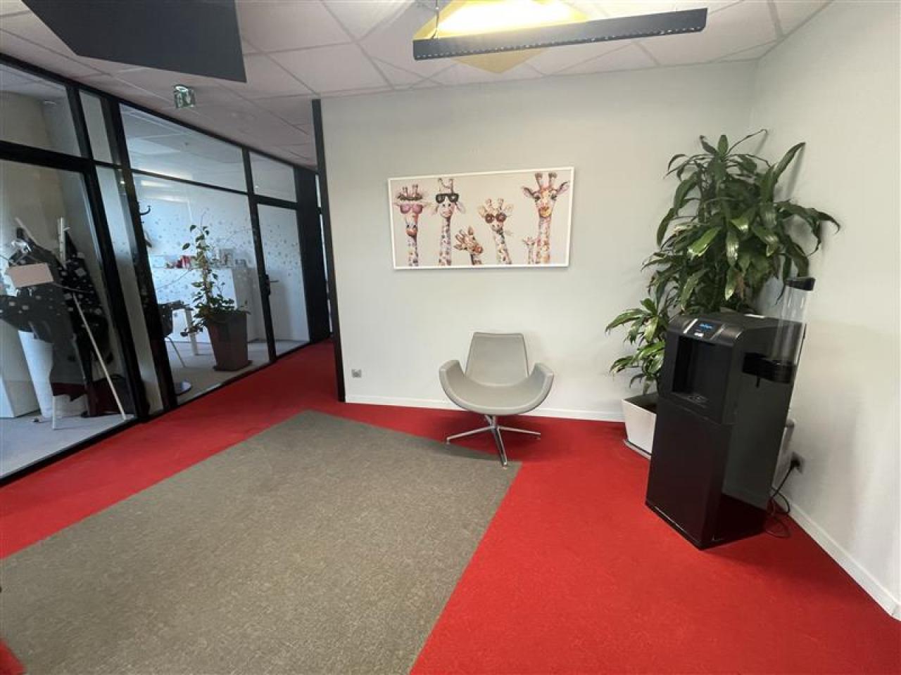 Bureau Castelnau-le-Lez 579m² Vente bureau Castelnau-le-Lez Hérault OVBUR2425913 13